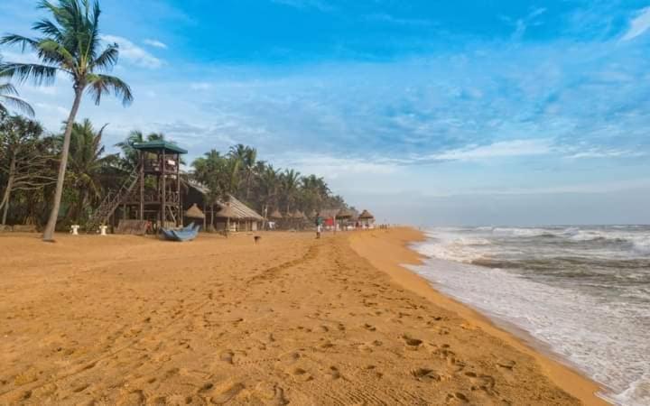 Green Bloom Dehiwala-Mount Lavinia Екстер'єр фото